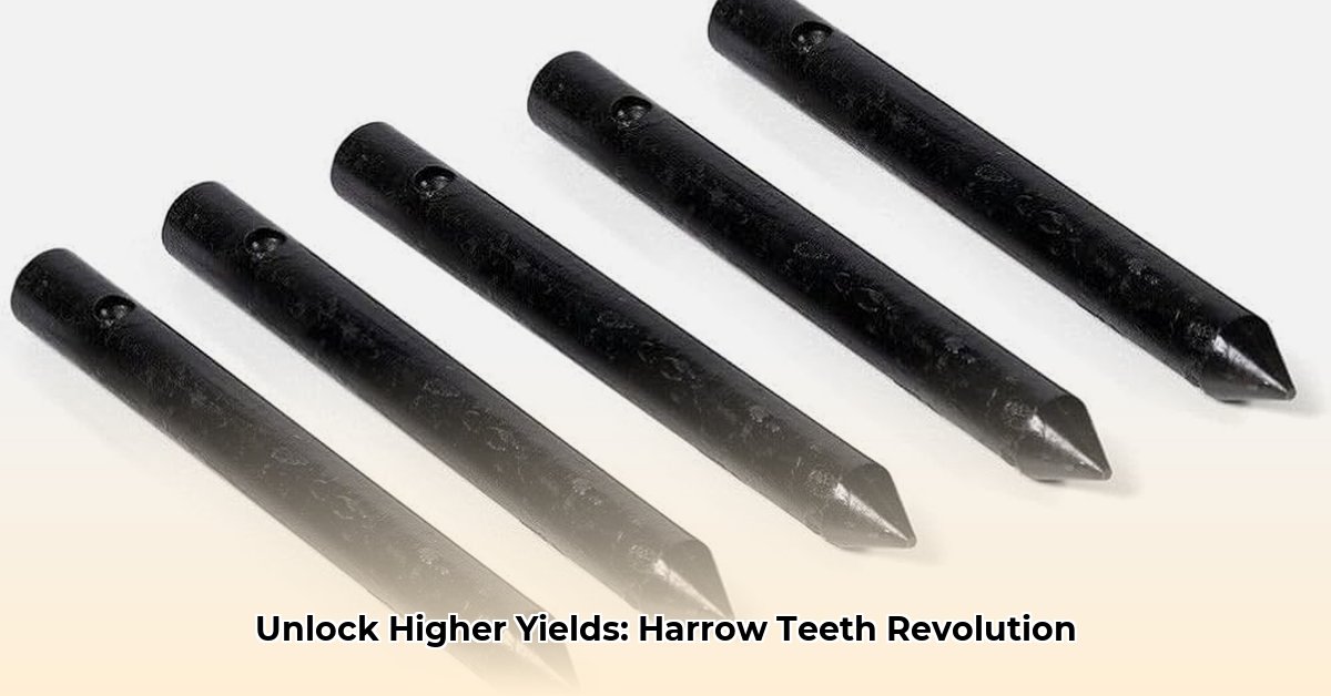harrow-teeth-tractor-supply